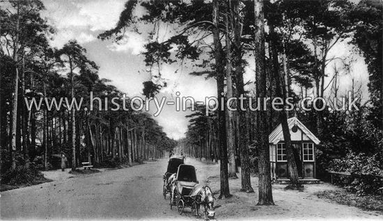 Gervis Road, Ease. Bournemouth, Hampshire. c.1906